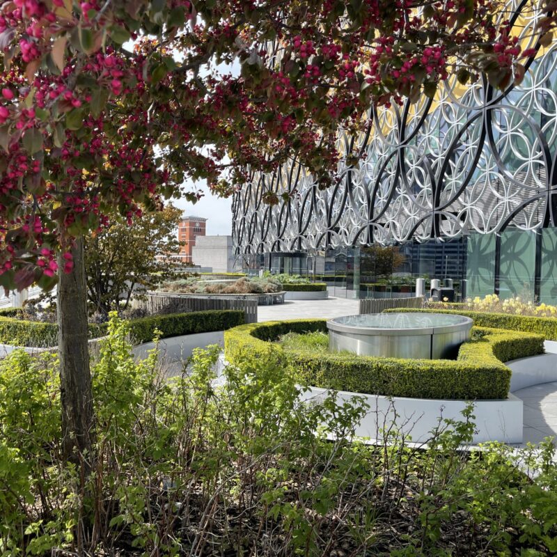 Library garden